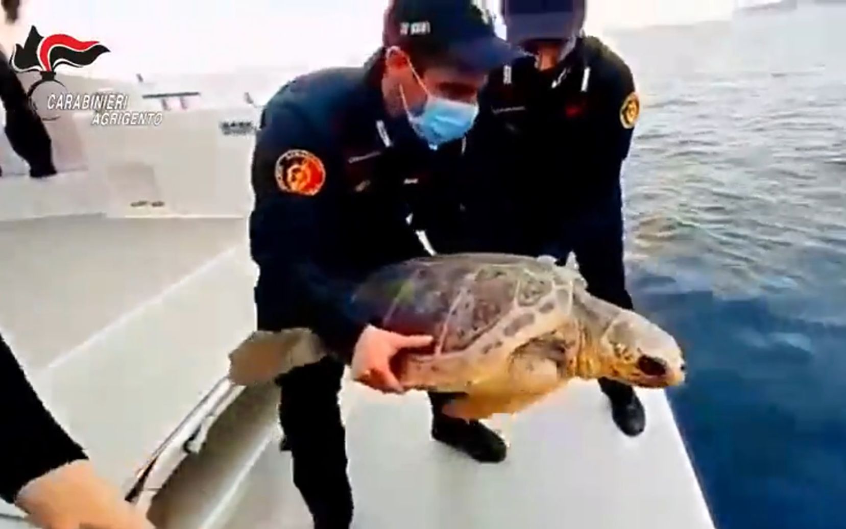 Carabinieri restituiscono al mare di Lampedusa tartaruga marina “Fiamma”