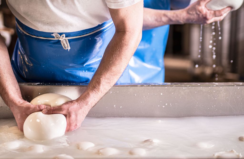 Mozzarella di bufala, a Napoli il primo congresso internazionale