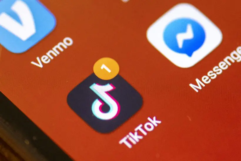 TikTok ripristina il servizio negli Stati Uniti “Ringraziamo Trump”